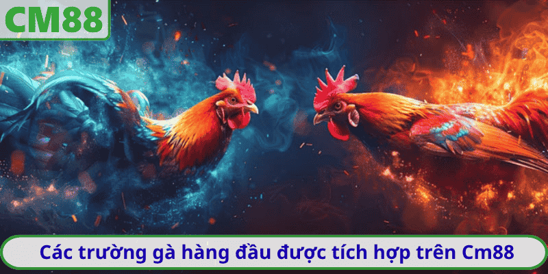 Các trường gà hàng đầu được tích hợp trên Cm88