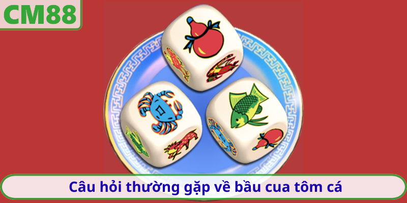 Câu hỏi thường gặp về bầu cua tôm cá