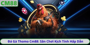 Đá Gà Thomo Cm88: Sân Chơi Kịch Tính Hấp Dẫn