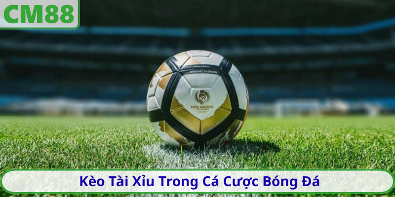 Kèo Tài Xỉu Trong Cá Cược Bóng Đá